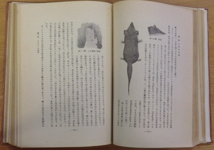 Spencer_Gillen-1943-p114-115