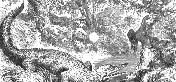 "A native woman seized by a cayman" from Paul P. de Gironière, Twenty Years in the Philippines (1854)